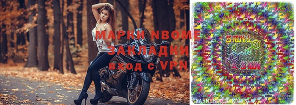 сатива Осинники